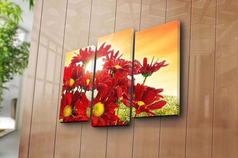 Canvastavla 3-pack Flerfärgad - 20x39 cm - Inredning - Tavlor & konst - Canvastavlor