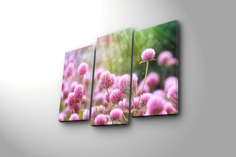 Canvastavla 3-pack Flerfärgad - 20x39 cm - Inredning - Tavlor & konst - Canvastavlor