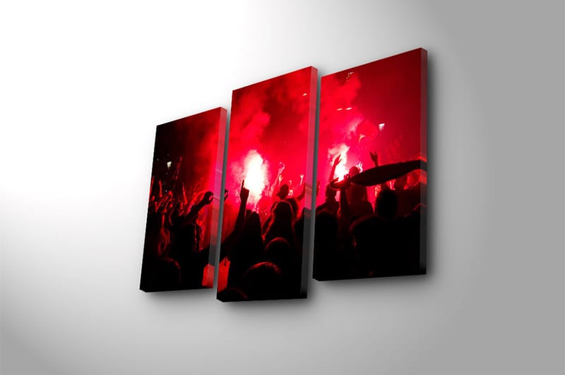 Canvastavla 3-pack Flerfärgad - 20x39 cm - Inredning - Tavlor & konst - Canvastavlor
