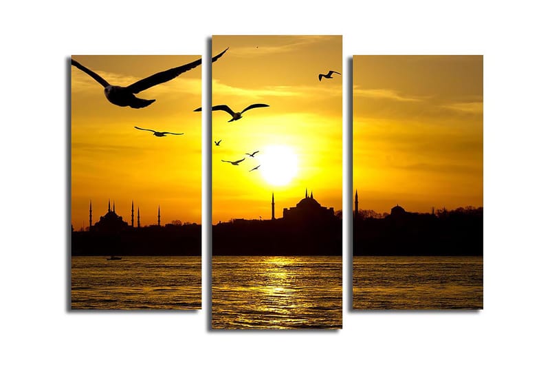 Canvastavla 3-pack Flerfärgad - 20x39 cm - Inredning - Tavlor & konst - Canvastavlor