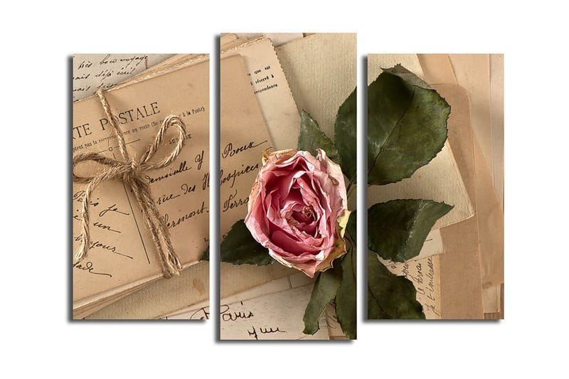 Canvastavla 3-pack Flerfärgad, 20x39 cm