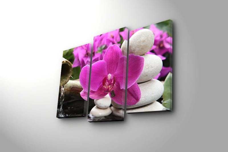 Canvastavla 3-pack Flerfärgad - 20x39 cm - Inredning - Tavlor & konst - Canvastavlor