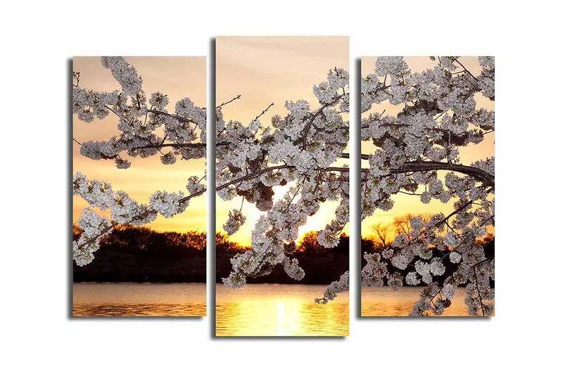 Canvastavla 3-pack Flerfärgad, 20x39 cm