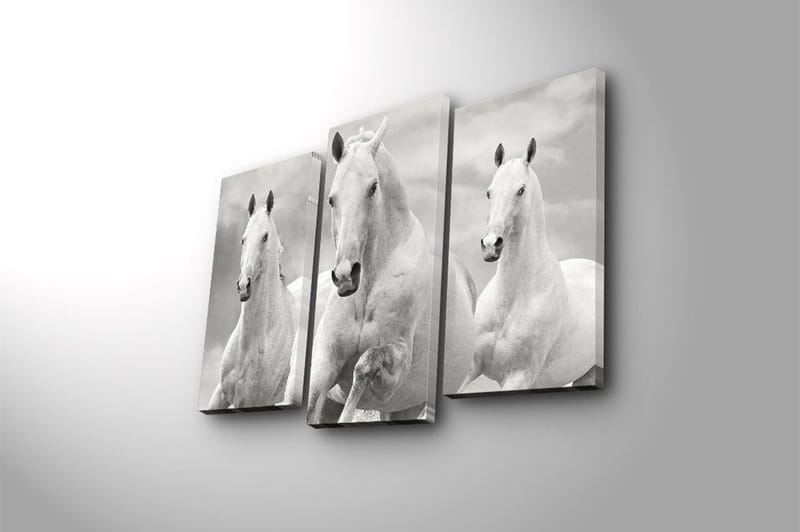 Canvastavla 3-pack Flerfärgad - 20x39 cm - Inredning - Tavlor & konst - Canvastavlor