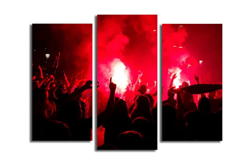 Canvastavla 3-pack Flerf ärgad, 20x39 cm