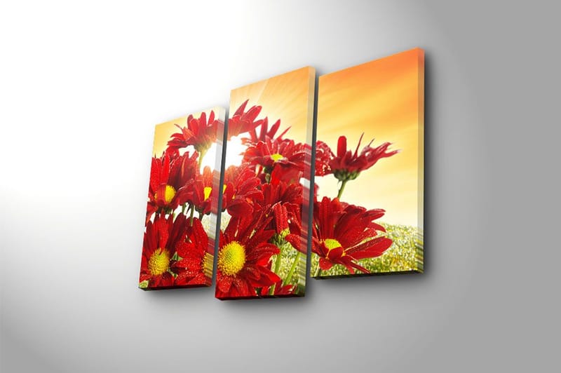 Canvastavla 3-pack Flerfärgad - 20x39 cm - Inredning - Tavlor & konst - Canvastavlor