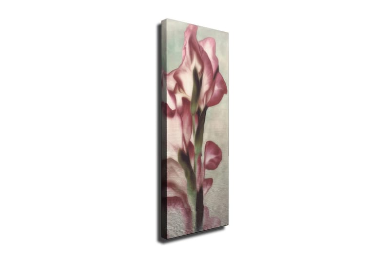 Canvastavla 30x80 cm - Elegant blomma i mjuka rosa nyanser - Rosa / Grön / Beige - Inredning - Tavlor & konst - Canvastavlor