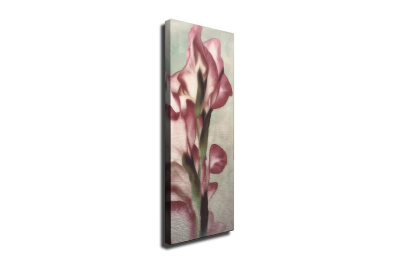 Canvastavla 30x80 cm - Elegant blomma i mjuka rosa nyanser - Rosa / Grön / Beige - Inredning - Tavlor & konst - Canvastavlor