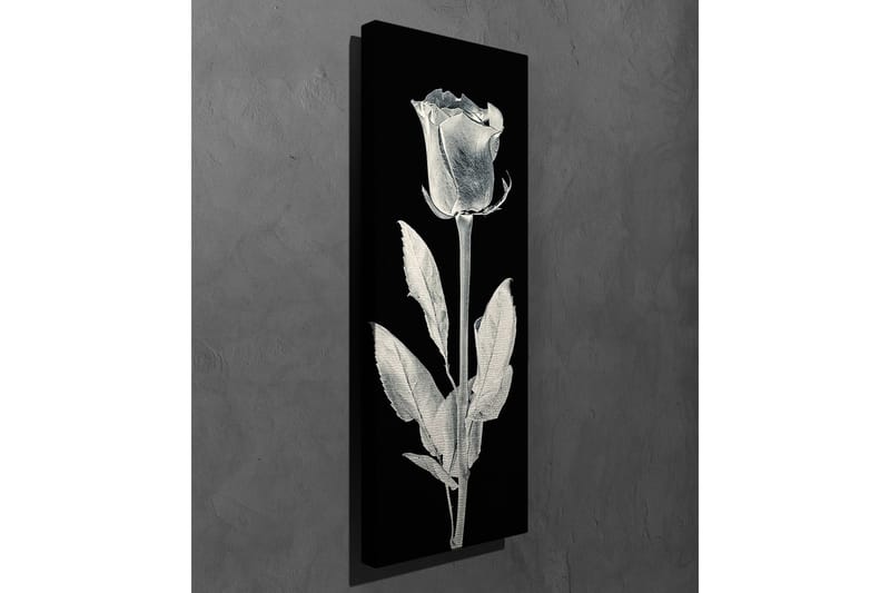 Canvastavla 30x80 cm - Vit ros mot svart bakgrund - Vit / Svart - Inredning - Tavlor & konst - Canvastavlor