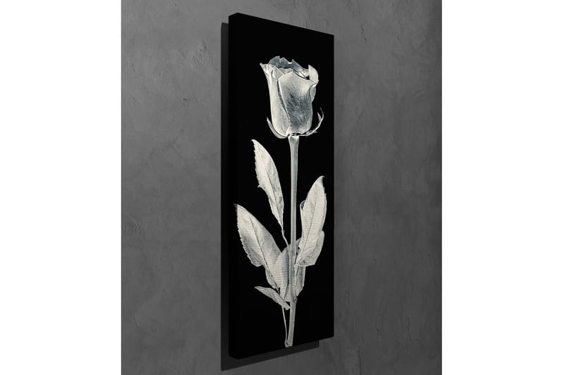 Canvastavla 30x80 cm - Vit ros mot svart bakgrund - Vit / Svart - Inredning - Tavlor & konst - Canvastavlor