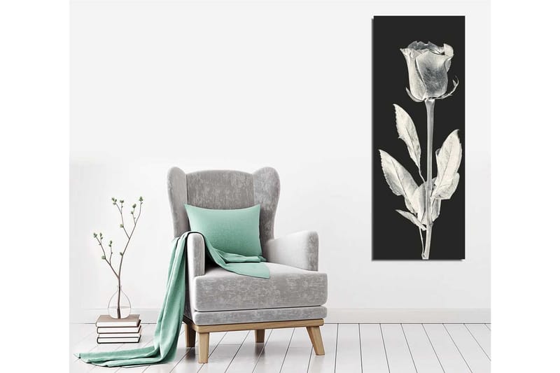 Canvastavla 30x80 cm - Vit ros mot svart bakgrund - Vit / Svart - Inredning - Tavlor & konst - Canvastavlor