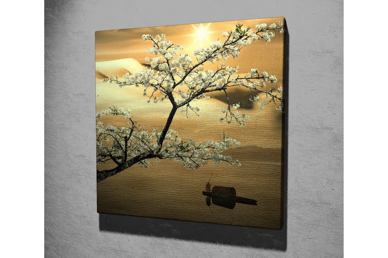 Canvastavla 45x45 cm - Blommande körsbärsträd vid solnedgången - Vit / Guld / Grön - Inredning - Tavlor & konst - Canvastavlor