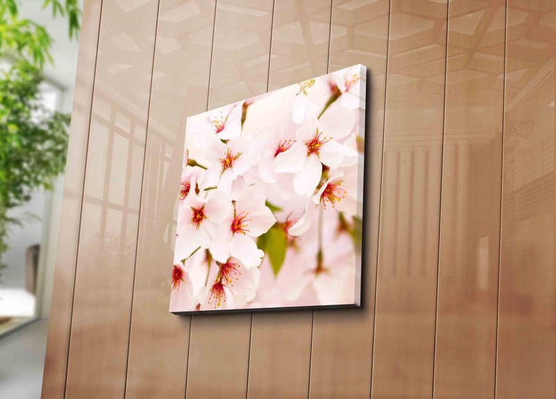 Canvastavla 45x45 cm - Blomstrande körsbärsblommor i pastelltoner - Ljusrosa / Vit / Grön - Inredning - Tavlor & konst - Canvastavlor