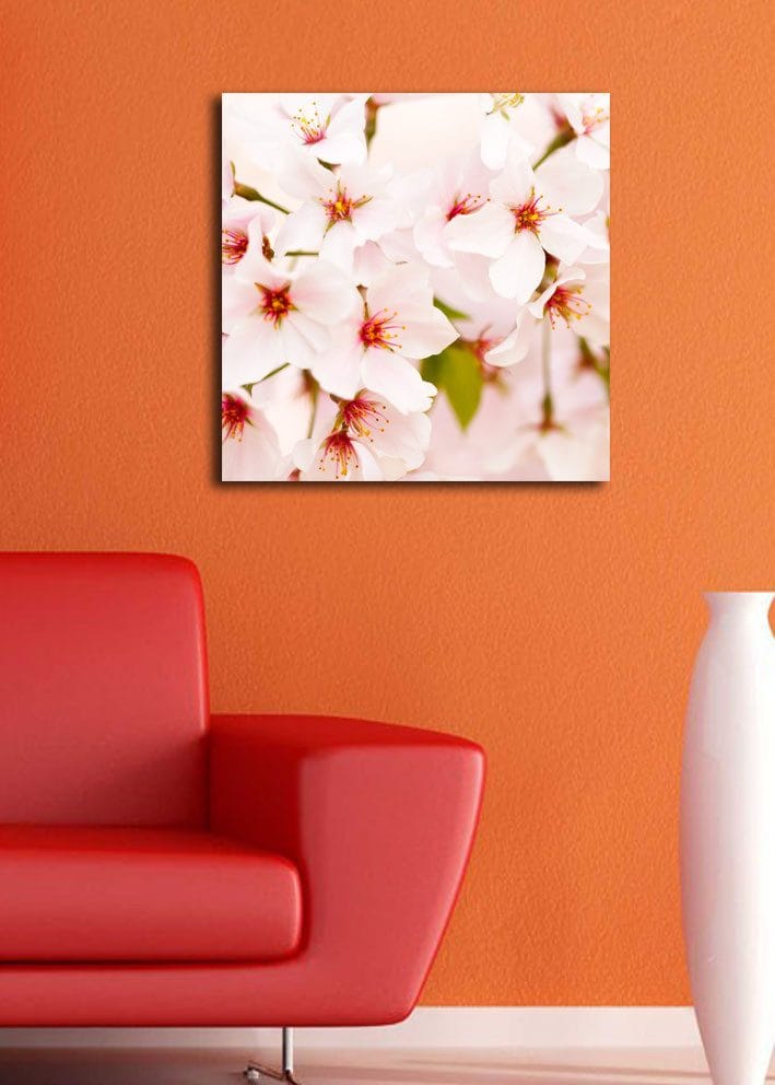 Canvastavla 45x45 cm - Blomstrande körsbärsblommor i pastelltoner - Ljusrosa / Vit / Grön - Inredning - Tavlor & konst - Canvastavlor