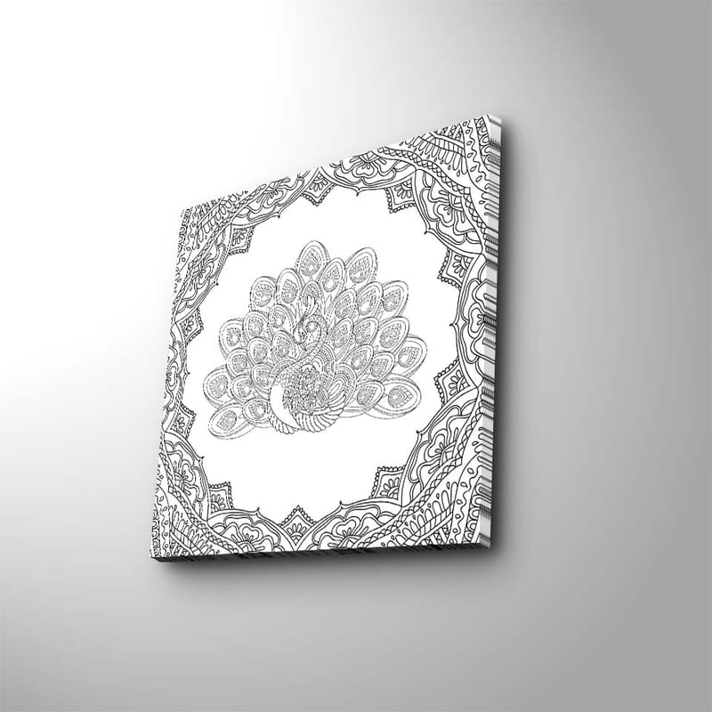 Canvastavla 45x45 cm - Detaljerad fjäderdräkt av en påfågel i en ornamenterad ram - Svart / Vitt - Inredning - Tavlor & konst - Canvastavlor