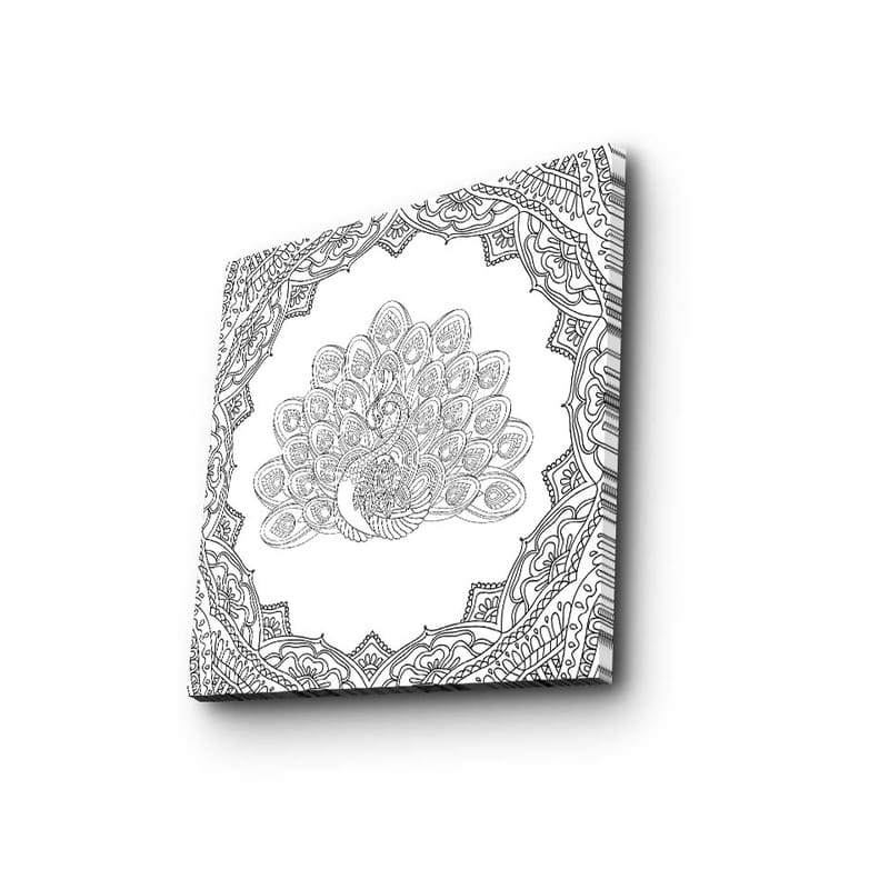 Canvastavla 45x45 cm - Detaljerad fjäderdräkt av en påfågel i en ornamenterad ram - Svart / Vitt - Inredning - Tavlor & konst - Canvastavlor