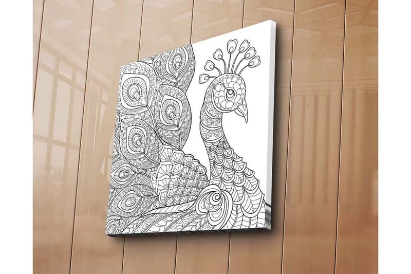 Canvastavla 45x45 cm - Detaljerad fjäderfä med intrikata mönster - Svart / Vitt - Inredning - Tavlor & konst - Canvastavlor