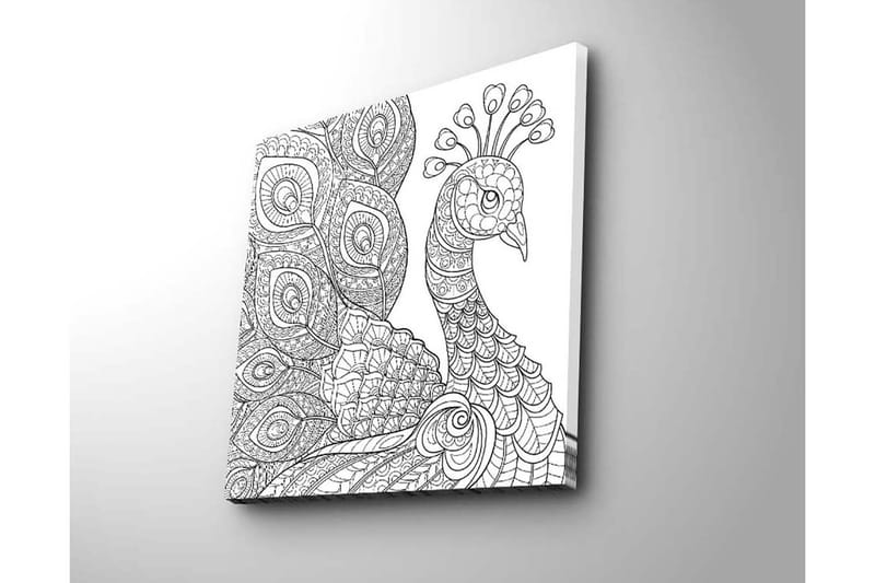 Canvastavla 45x45 cm - Detaljerad fjäderfä med intrikata mönster - Svart / Vitt - Inredning - Tavlor & konst - Canvastavlor