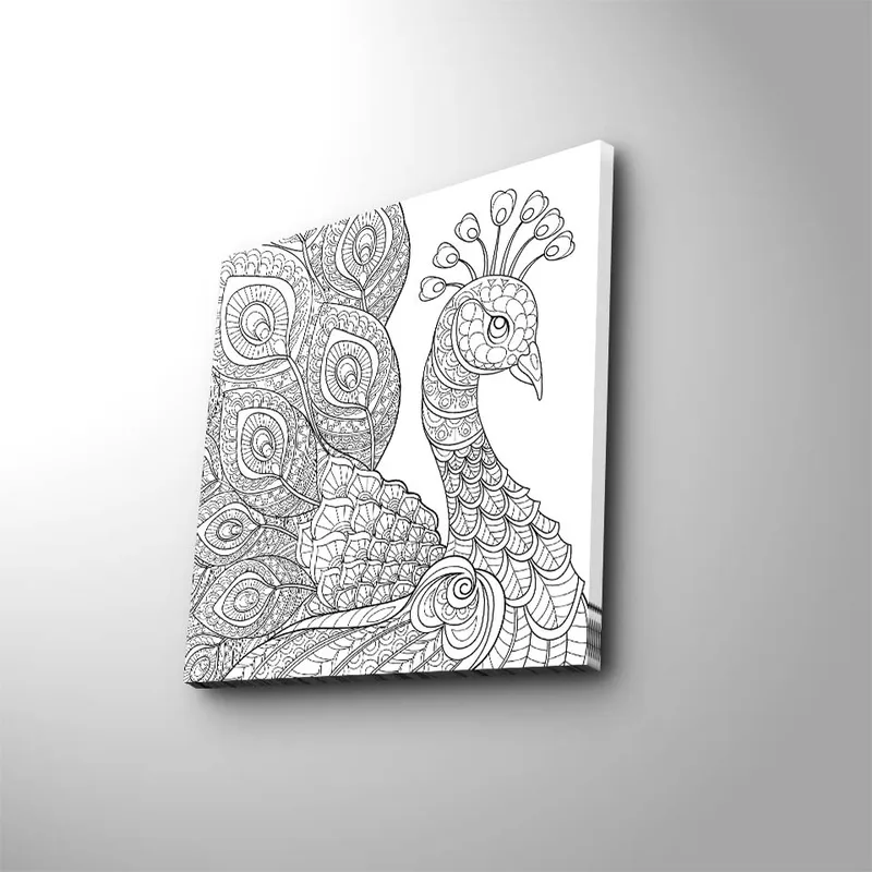 Canvastavla 45x45 cm - Detaljerad fjäderfä med utsmyckade fjädrar - Svart / Vitt - Inredning - Tavlor & konst - Canvastavlor