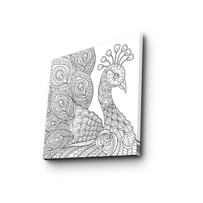 Canvastavla 45x45 cm - Detaljerad fjäderfä med utsmyckade fjädrar - Svart / Vitt - Inredning - Tavlor & konst - Canvastavlor