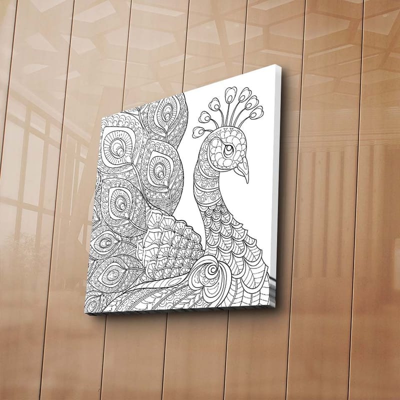 Canvastavla 45x45 cm - Detaljerad fjäderfä med utsmyckade fjädrar - Svart / Vitt - Inredning - Tavlor & konst - Canvastavlor