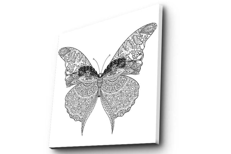 Canvastavla 45x45 cm - Detaljerad fjäril med intrikata mönster - Svart / Vitt - Inredning - Tavlor & konst - Canvastavlor