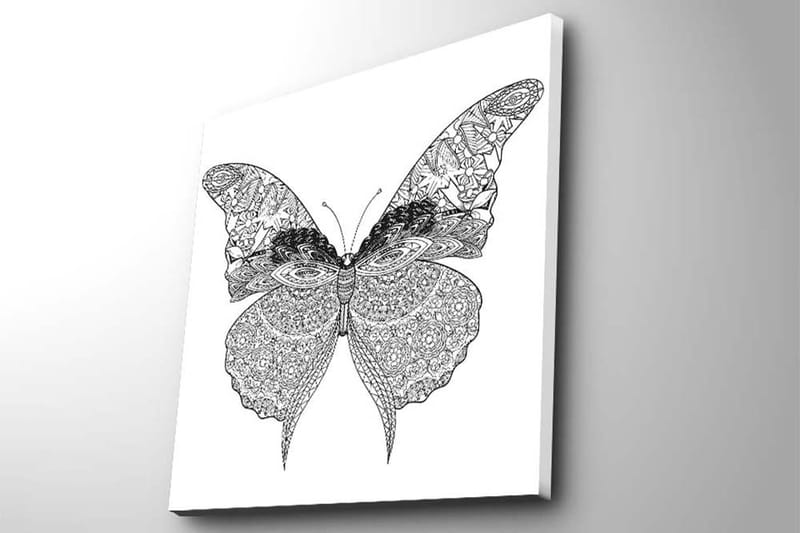 Canvastavla 45x45 cm - Detaljerad fjäril med intrikata mönster - Svart / Vitt - Inredning - Tavlor & konst - Canvastavlor
