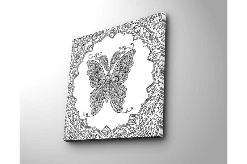Canvastavla 45x45 cm - Detaljerad fjäril med ornamentala mönster - Svart / Vitt - Inredning - Tavlor & konst - Canvastavlor