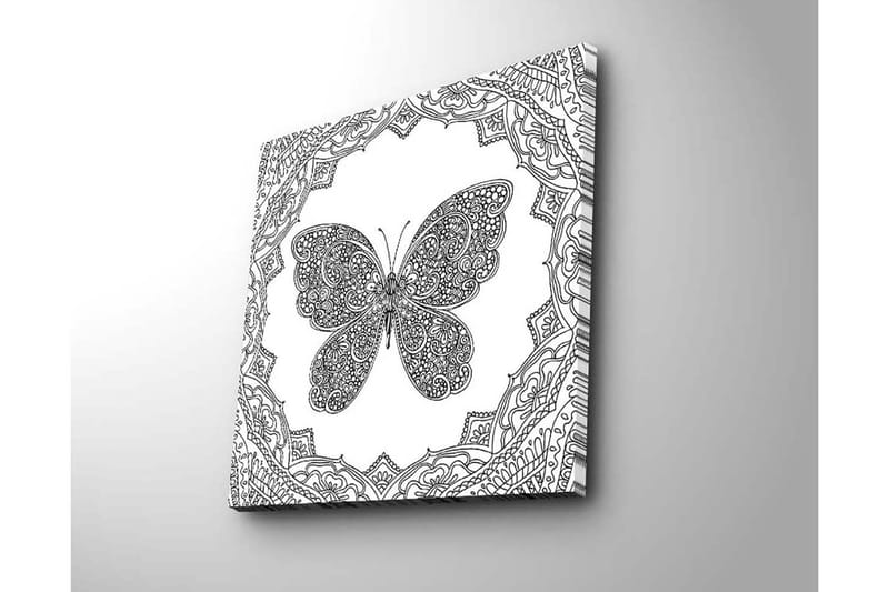 Canvastavla 45x45 cm - Detaljerad fjäril omgiven av ornamentala mönster - Svart / Vitt - Inredning - Tavlor & konst - Canvastavlor