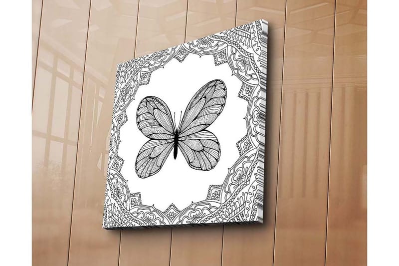 Canvastavla 45x45 cm - Detaljerad fjäril omgiven av ornamentala mönster - Svart / Vitt - Inredning - Tavlor & konst - Canvastavlor