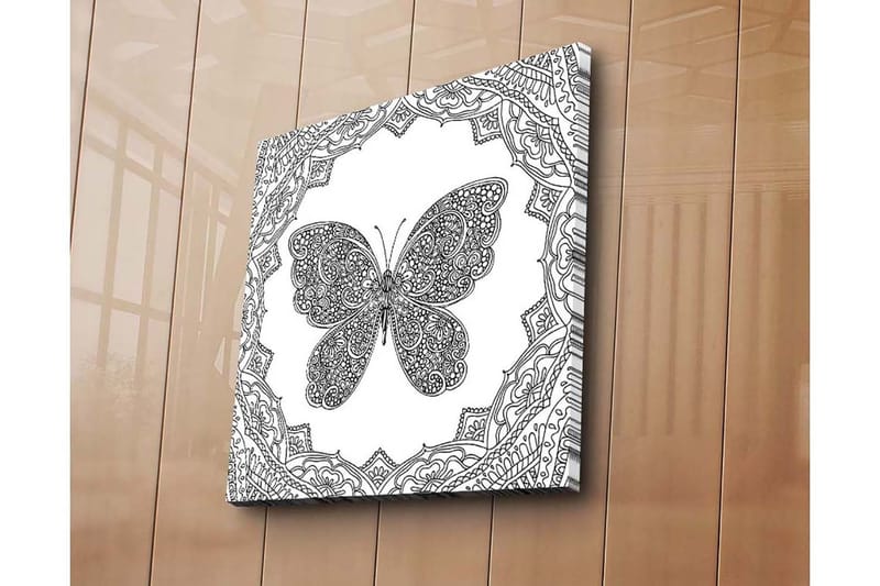 Canvastavla 45x45 cm - Detaljerad fjäril omgiven av ornamentala mönster - Svart / Vitt - Inredning - Tavlor & konst - Canvastavlor