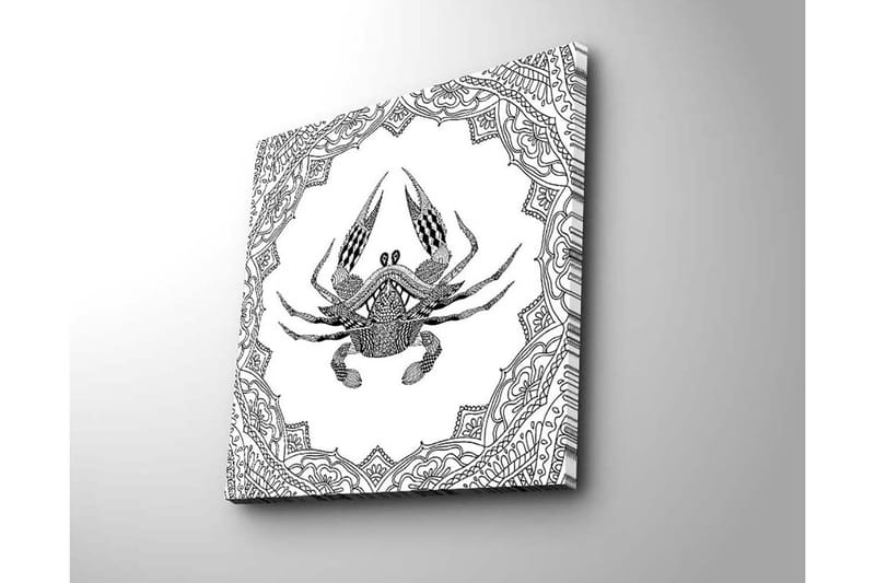 Canvastavla 45x45 cm - Detaljerad illustration av en krabba omgiven av ornamentala mönster - Svart / Vitt - Inredning - Tavlor & konst - Canvastavlor