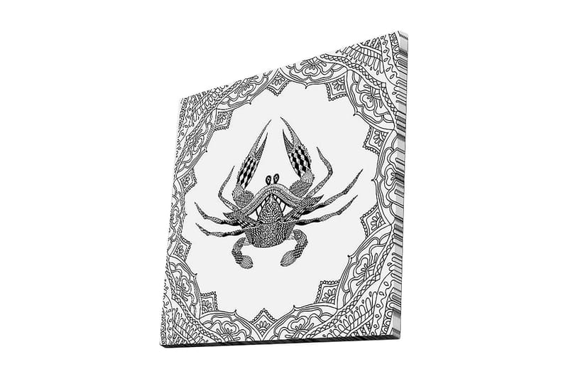 Canvastavla 45x45 cm - Detaljerad illustration av en krabba omgiven av ornamentala mönster, Svart / Vitt