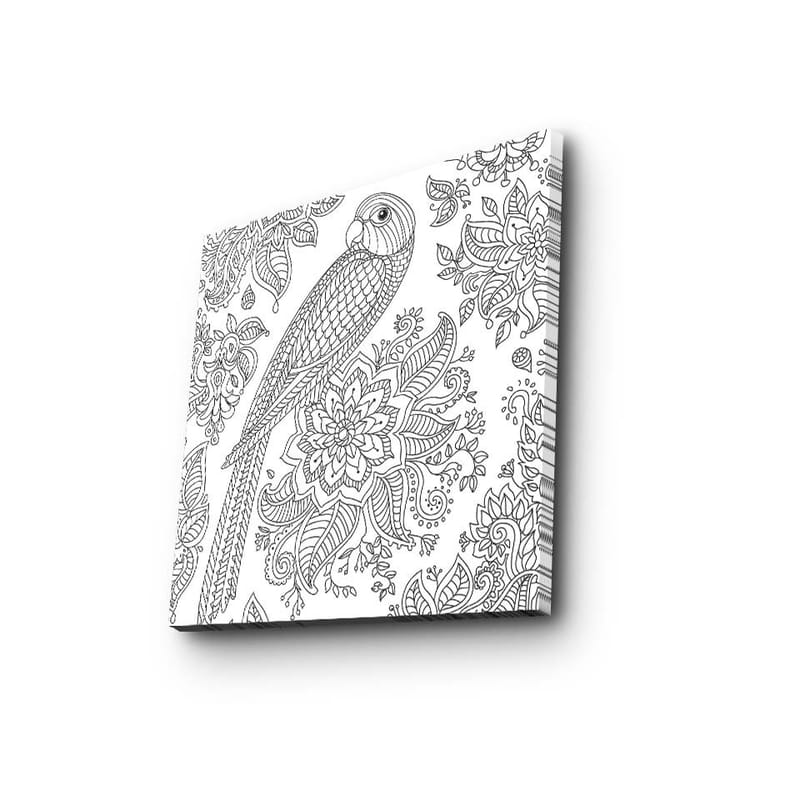 Canvastavla 45x45 cm - Detaljerad illustration av en papegoja omgiven av blommor och mönster - Svart / Vitt - Inredning - Tavlor & konst - Canvastavlor
