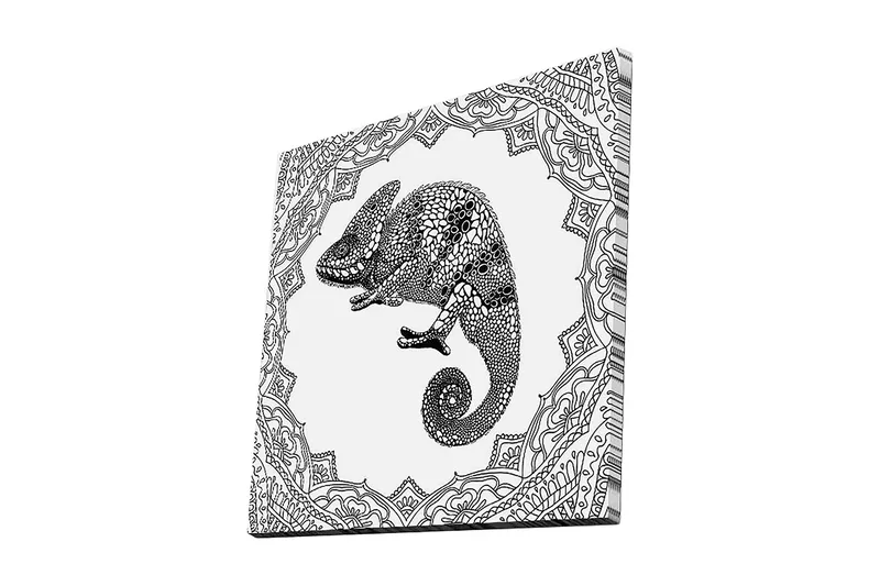 Canvastavla 45x45 cm - Detaljerad illustration av ett chameleon i en ornamenterad ram, Svart / Vitt