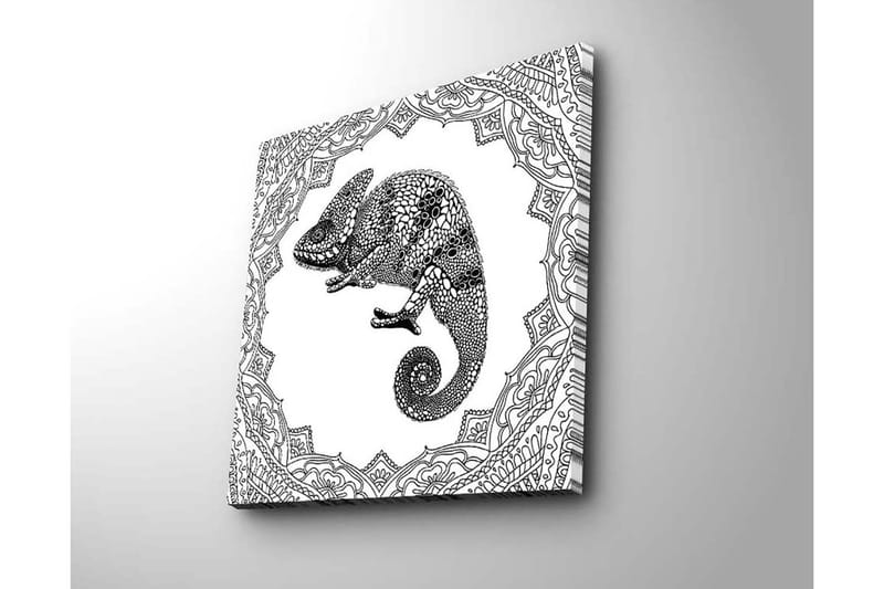 Canvastavla 45x45 cm - Detaljerad illustration av ett chameleon i en ornamenterad ram - Svart / Vitt - Inredning - Tavlor & konst - Canvastavlor