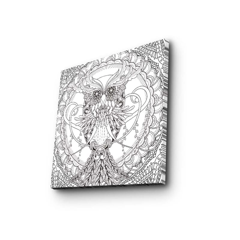 Canvastavla 45x45 cm - Detaljerad och stiliserad uggla omgiven av ornamentala mönster - Svart / Vitt - Inredning - Tavlor & konst - Canvastavlor