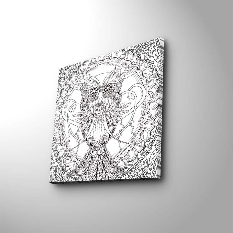 Canvastavla 45x45 cm - Detaljerad och stiliserad uggla omgiven av ornamentala mönster, Svart / Vitt