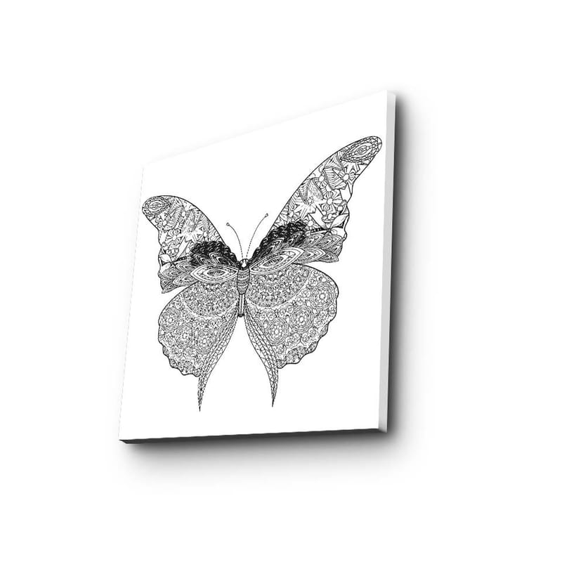 Canvastavla 45x45 cm - Detaljerad svartvit fjäril med intrikata mönster - Svart / Vitt - Inredning - Tavlor & konst - Canvastavlor