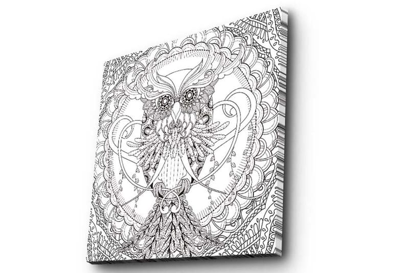 Canvastavla 45x45 cm - Detaljerad svartvit uggla med intrikata mönster - Svart / Vitt - Inredning - Tavlor & konst - Canvastavlor