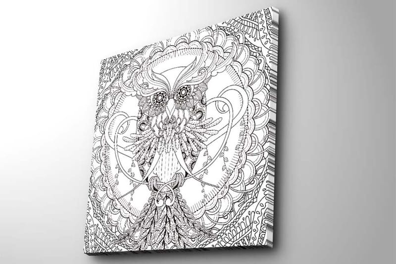 Canvastavla 45x45 cm - Detaljerad svartvit uggla med intrikata mönster - Svart / Vitt - Inredning - Tavlor & konst - Canvastavlor