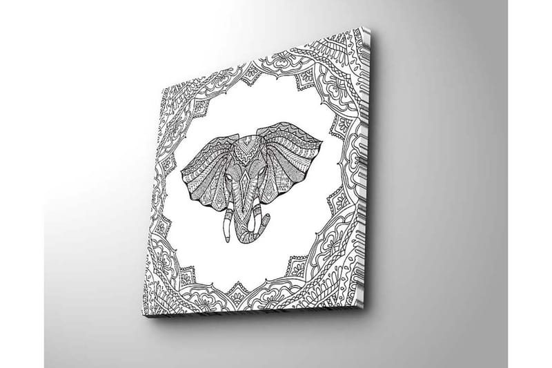 Canvastavla 45x45 cm - Elefant med intrikata mönster i en dekorativ ram - Svart / Vitt - Inredning - Tavlor & konst - Canvastavlor