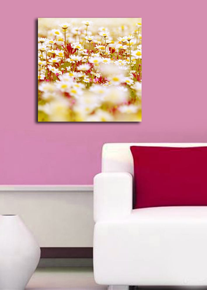 Canvastavla 45x45 cm - Fält av blommor i olika nyanser av vitt och gult - Vitt / Gult / Grönt - Inredning - Tavlor & konst - Canvastavlor