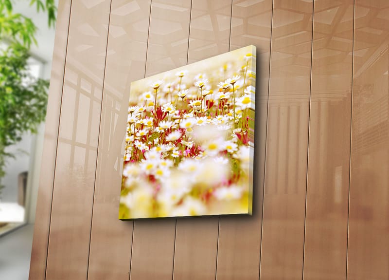 Canvastavla 45x45 cm - Fält av blommor i olika nyanser av vitt och gult - Vitt / Gult / Grönt - Inredning - Tavlor & konst - Canvastavlor