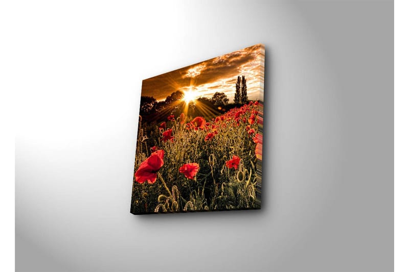 Canvastavla 45x45 cm - Fält av röda vallmo med en strålande sol i bakgrunden - Röd / Orange / Grön - Inredning - Tavlor & konst - Canvastavlor
