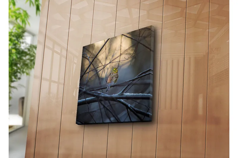 Canvastavla 45x45 cm - Färgglad fågel på en gren omgiven av grenar och dimma - Gul / Brun / Grå - Inredning - Tavlor & konst - Canvastavlor