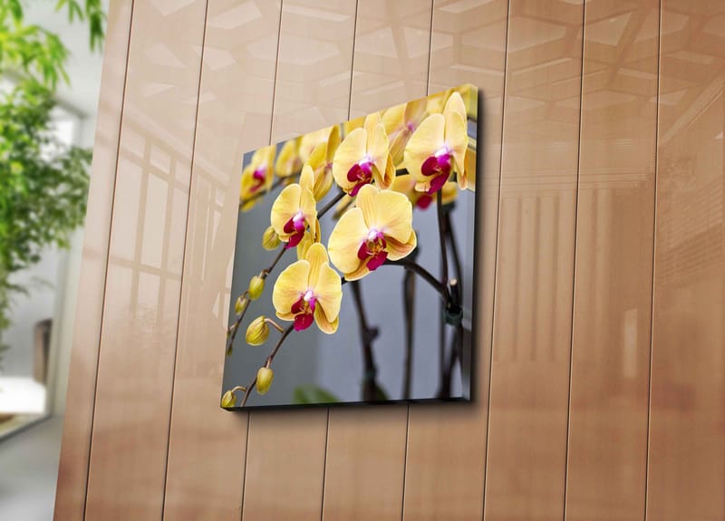 Canvastavla 45x45 cm - Färgglad orkidé med gula och rosa blommor - Gul / Rosa - Inredning - Tavlor & konst - Canvastavlor