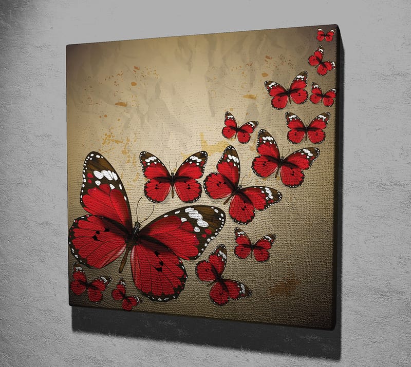 Canvastavla 45x45 cm - Färgglad samling av fjärilar i röd nyans - Röd / Svart / Beige - Inredning - Tavlor & konst - Canvastavlor