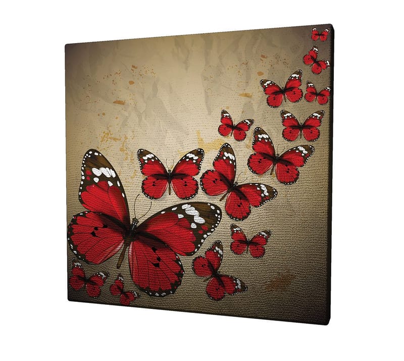 Canvastavla 45x45 cm - Färgglad samling av fjärilar i röd nyans - Röd / Svart / Beige - Inredning - Tavlor & konst - Canvastavlor