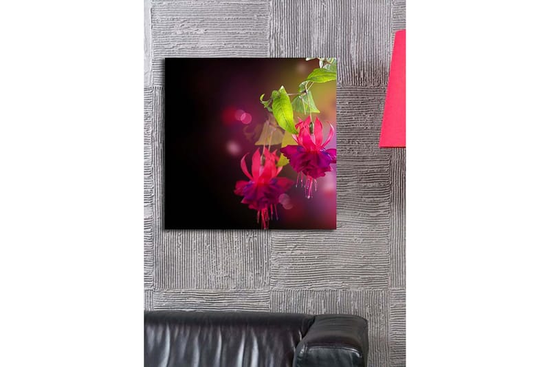 Canvastavla 45x45 cm - Färgrik hängande fuchsia med gröna blad - Rosa / Lila / Grön - Inredning - Tavlor & konst - Canvastavlor